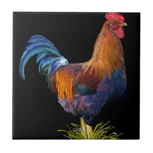 Carreau Coq