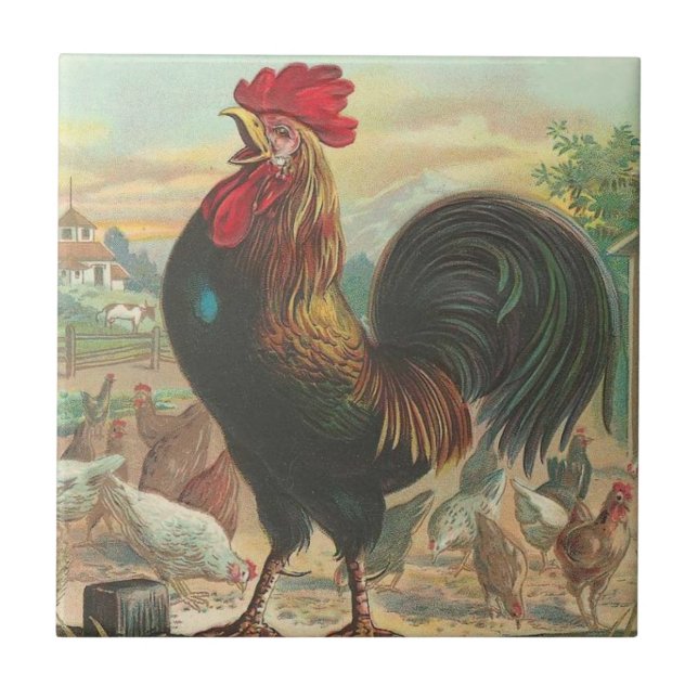 Carreau Coq (Devant)
