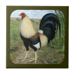 Carreau Coq de combat de route de campagne