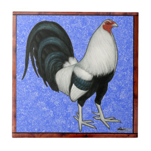 Carreau Coq domestique encadré