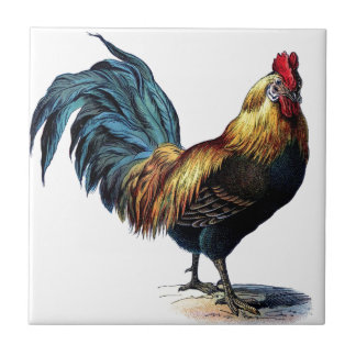 Carreau Coq vintage