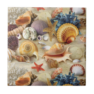Carreau Coques de mer sur la plage