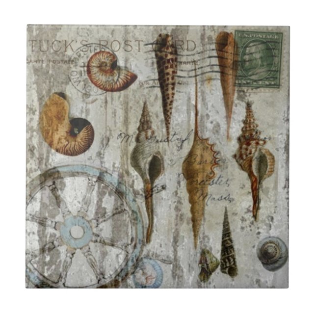 Carreau coquillage chic côtier blanchi rustique (Devant)