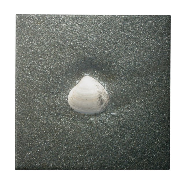 Carreau Coquillage dans le sable : Un souvenir salé (Devant)