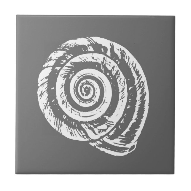 Carreau Coquillage spiral, gris / gris et blanc (Devant)