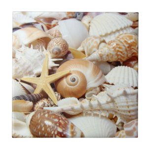 Carreau Coquillages
