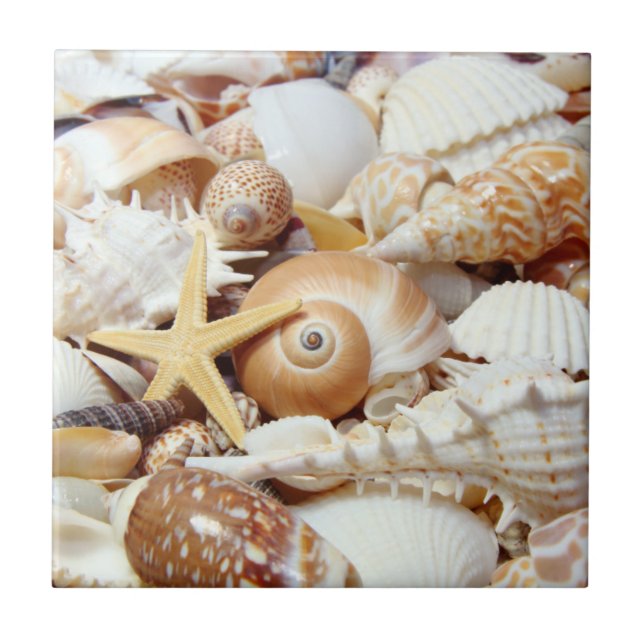 Carreau Coquillages (Devant)