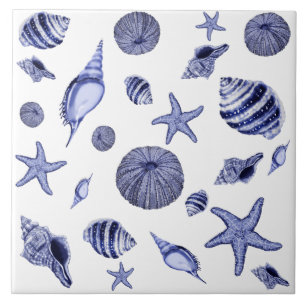 Carreau Coquillages bleus et blancs
