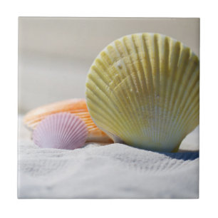 Carreau Coquillages colorés dans le sable