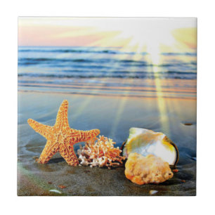 Carreau Coquillages marins et étoiles de mer sur la plage