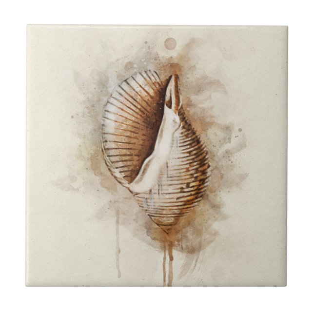 Carreau Coquille de la mer côtière tropicale (Devant)