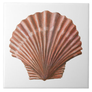 Carreau Coquille de la paille