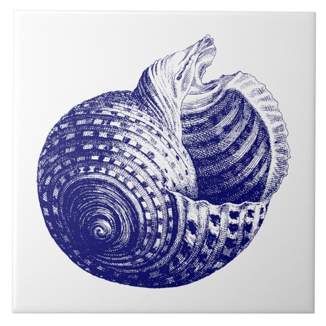 Carreau Coquille de mer bleu et blanc (Devant)
