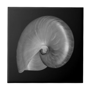 Carreau Coquille de nautile noir et blanc