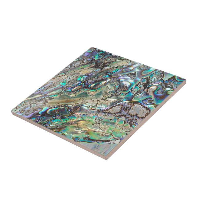 Carreau Coquille de paua de reine (Côté)