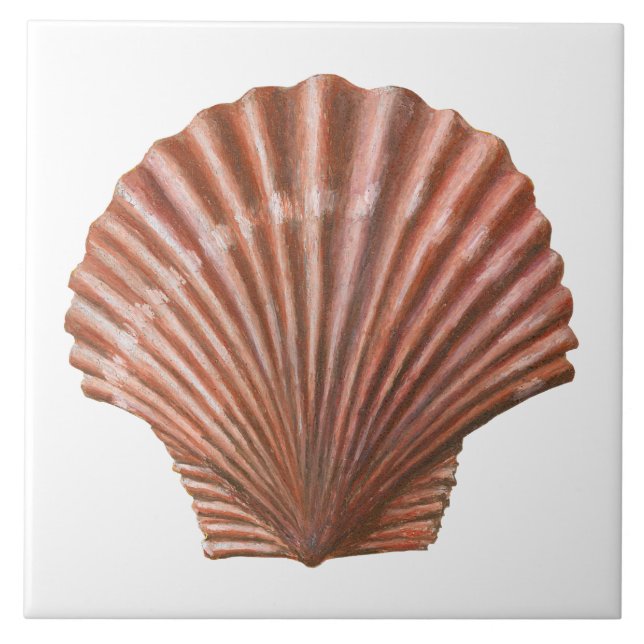Carreau Coquille de saint Jacques (Devant)
