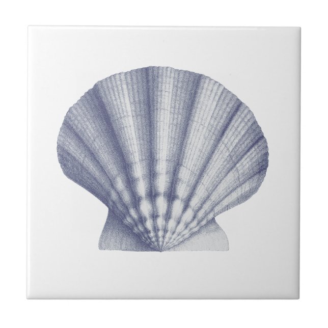 Carreau Coquille marine Vintage (Devant)