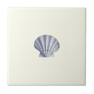 Carreau Coquille moderne de la mer bleue Vintage sur l'ivo