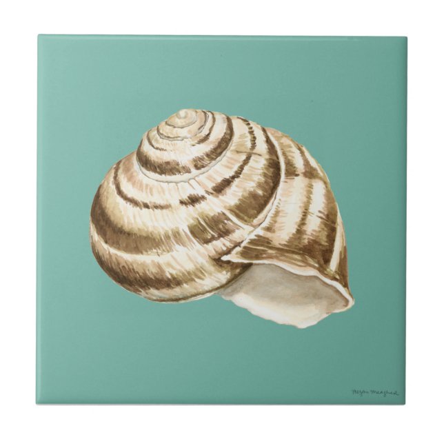 Carreau Coquille striée Sepia sur Turquoise (Devant)