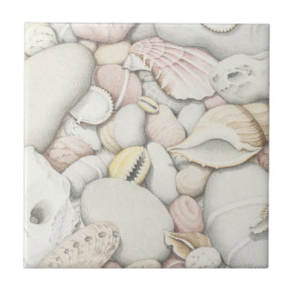 Carreau Coquilles et cailloux de mer dans la tuile colorée