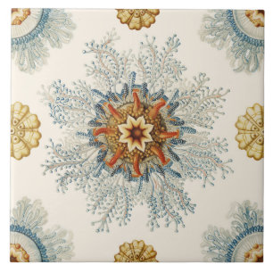 Carreau Coral Mandala Motif