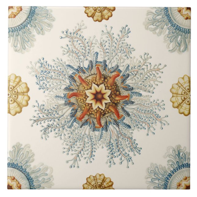 Carreau Coral Mandala Motif (Devant)