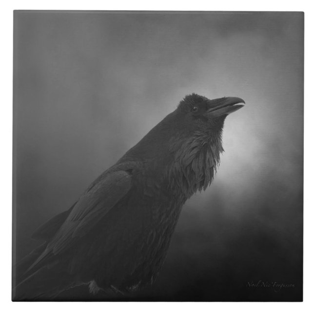 Carreau Corbeau de Raven parlant, illustration numérique (Devant)