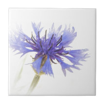 Corfleur bleu