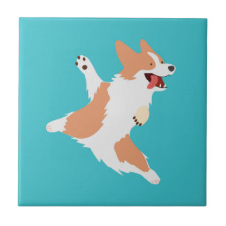 Carreau Corgi joueur