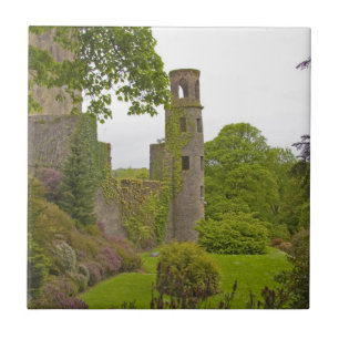 Carreau Cork, Irlande. Le célèbre château de Blarney 2