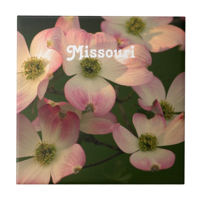 Carreau Cornouiller (Devant)