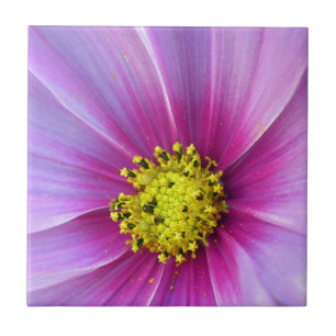 Carreau Cosmos roses