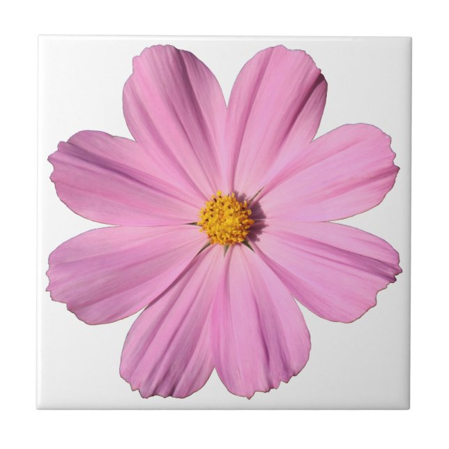 Carreau Cosmos roses (Devant)