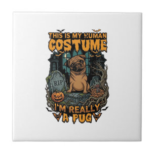 Carreau Costume Humain Pug Halloween Citrouille Pierre Tom