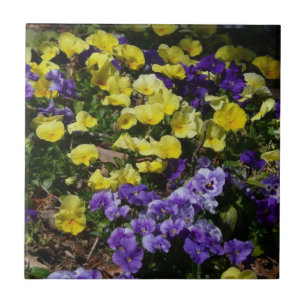 Carreau Coteau de panneaux violets et jaunes