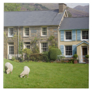 Carreau Cottages, Beddgelert, Gwynedd, Pays de Galles