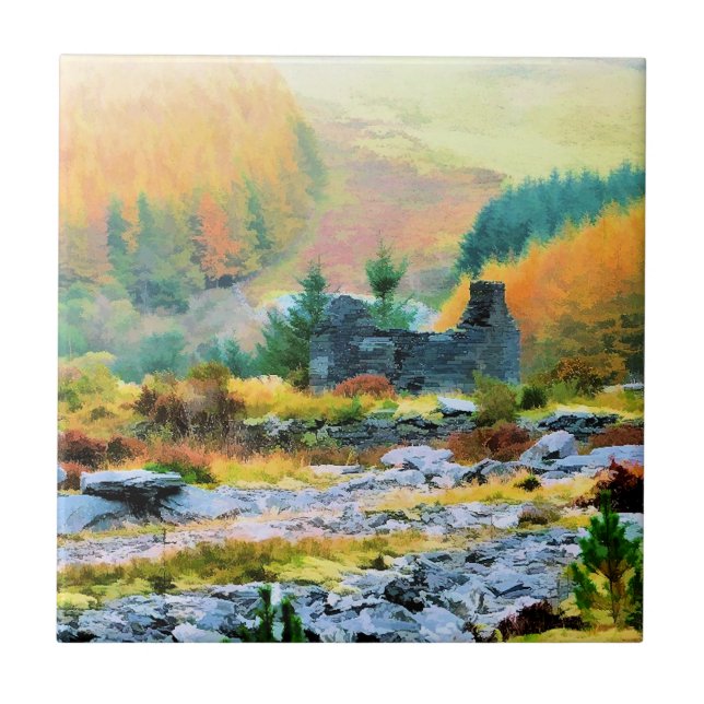 CARREAU COTTAGES WALES (Devant)
