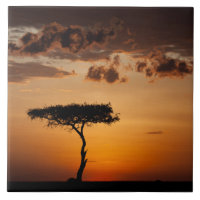Coucher de soleil à Masai Mara
