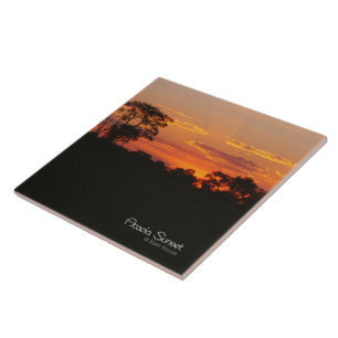 Carreau Coucher de soleil Acacia