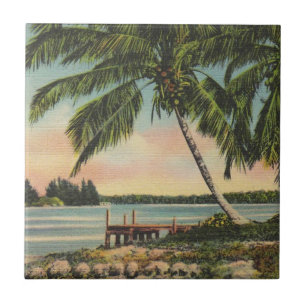 Carreau Coucher de soleil de brise tropicale vintage de co