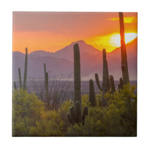 Carreau Coucher de soleil de cactus du désert, Arizona