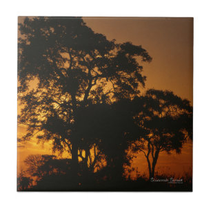 Carreau Coucher de soleil de Savannah