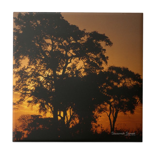 Carreau Coucher de soleil de Savannah (Devant)