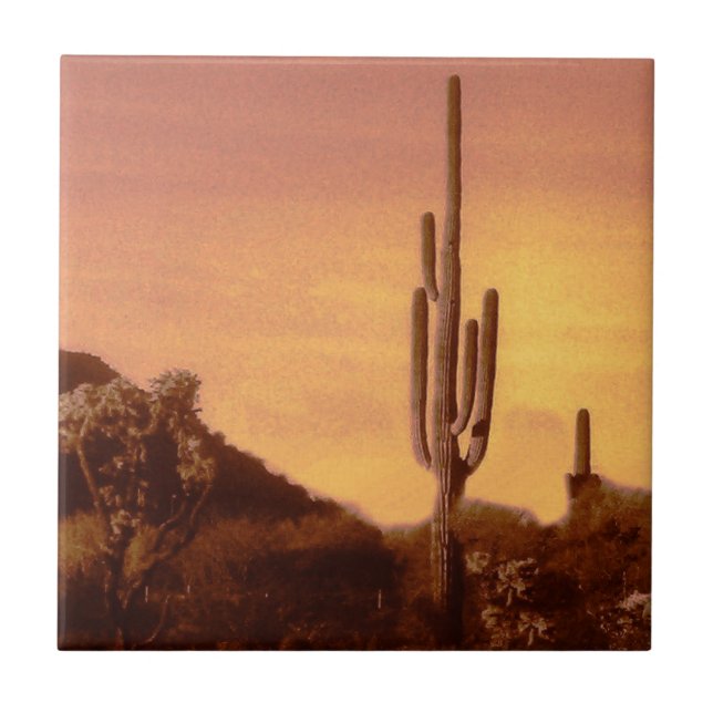 Carreau coucher de soleil de Sonoran (Devant)