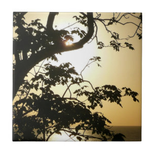 Carreau Coucher du soleil à travers les arbres II Photogra