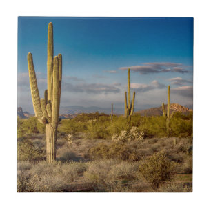 Carreau Coucher du soleil de cactus en Arizona