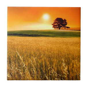 Carreau Coucher du soleil rouge sang