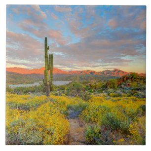Carreau Coucher du soleil sur le paysage désertique
