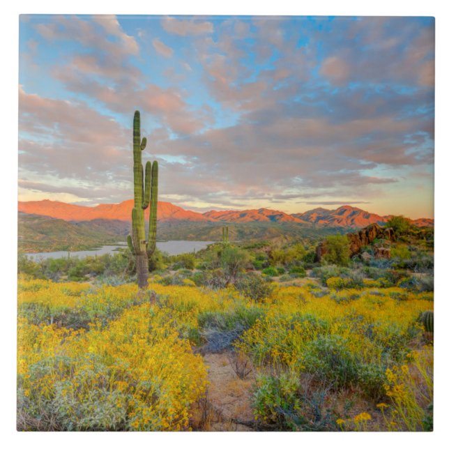 Carreau Coucher du soleil sur le paysage désertique (Devant)