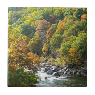 Carreau Couleur d'automne dans le parc d'état d'Ohiopyle